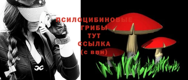 бошки Абаза