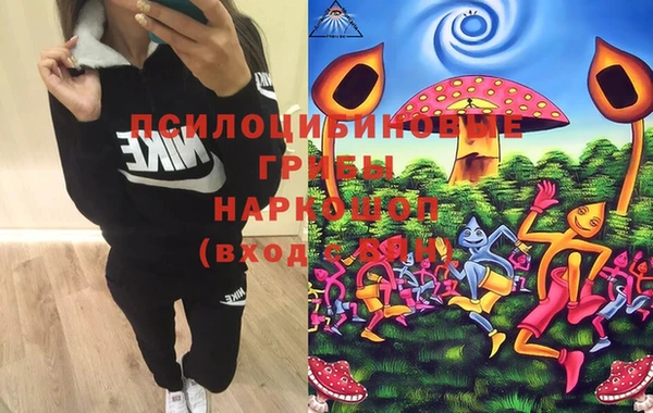 бошки Абаза
